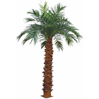 3m Canary Fake Palm Tree Decor Flame Retardant Materials