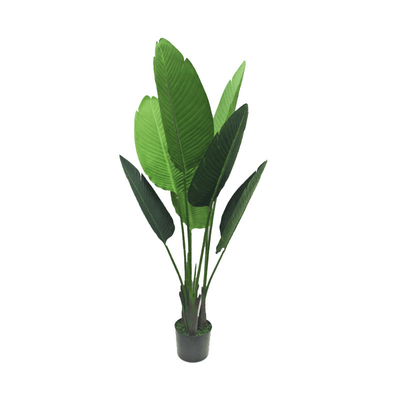 Plastic Leaf Artificial Traveller Palm 245cm Tree Shape