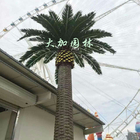 Large Outdoor Decorative Palm Tree Canada / Plastic Date Palm / Artificial Palm Trees