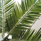 Anti Fading 10m Artificial Palm Trees Silk Cloth Tall Fake Palm Trees