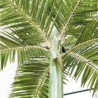 Anti Fading 10m Artificial Palm Trees Silk Cloth Tall Fake Palm Trees