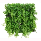100*100cm Artificial Green Wall , Fake Living Wall Uv Protected