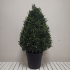 Dajia Artificial Green Trees , Plastic Topiary Plants Steel Frame Trunk