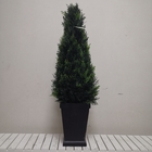 Outdoor Topiary Artificial Green Trees , Silk Cloth Faux Cypress Tree For Deco
