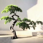 Indoor Giant Podocarpus Artificial Pine Trees Beautiful appearance