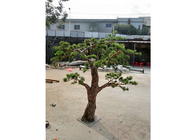 OEM ODM Evergreen Artificial Pine Trees Real wood Material