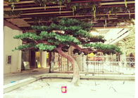 OEM ODM Artificial Pine Trees No Harmful For Playground