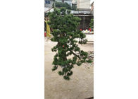 OEM Artificial Pine Trees , 1m Faux Pine Christmas Tree