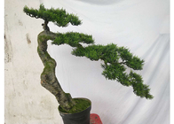 Christmas Decorative Artificial Ornamental Pine Tree