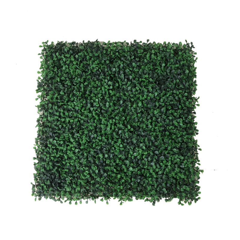 Uv Resistant Milan Boxwood Backdrop Decoration artificial plant wall and turf