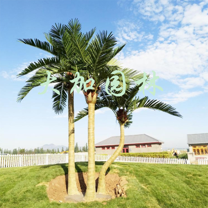 4m Evergreen Large Fake Palm Trees , Nearly Natural Palm Tree For Garden Landscape